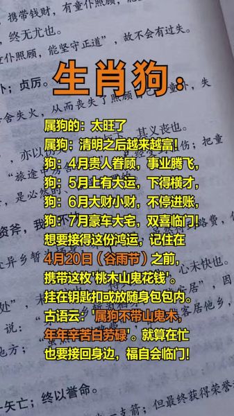 生肖狗喜欢什么属相的(属狗跟什么属相最合拍?答案在这)