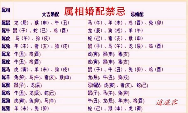 男性属相兔最佳配偶生肖（2024年属相兔男姻缘配对生肖指南）