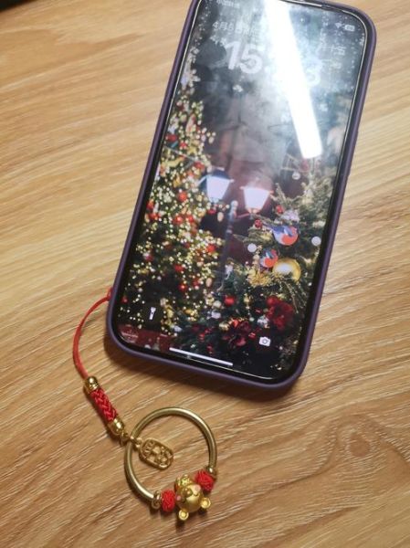 生肖属相挂绳手机壳（生肖挂绳手机壳怎么选？小白避坑指南）