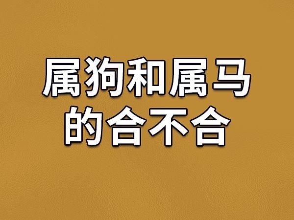 狗马属相相配的生肖（属狗和属马真的相配吗？）