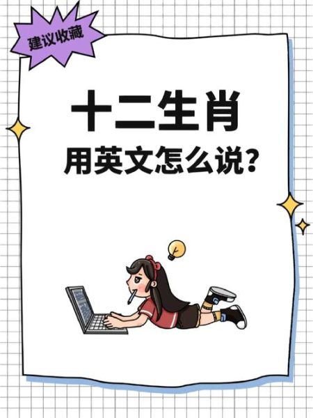 生肖属相翻译（十二生肖属相英文翻译全攻略）