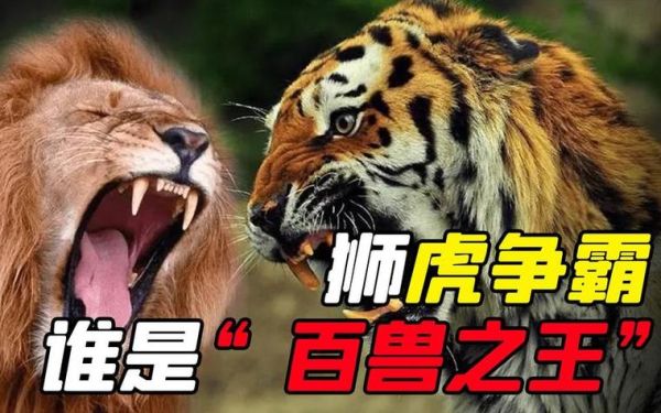 胆子最大的生肖属相（胆子最大的属相是什么）