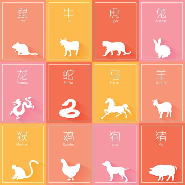 十二生肖属相做法（十二生肖属相做法新手图解步骤）