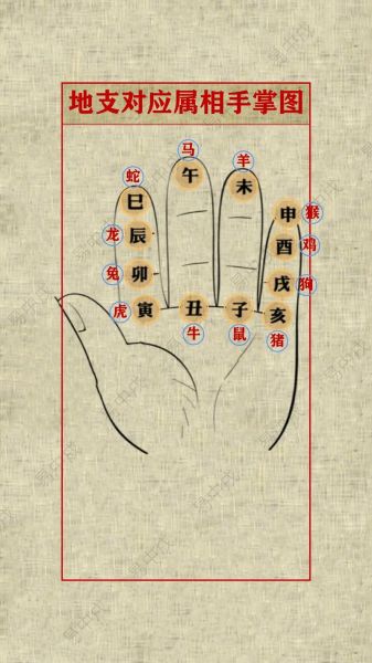 十二生肖属相做法（十二生肖属相做法新手图解步骤）