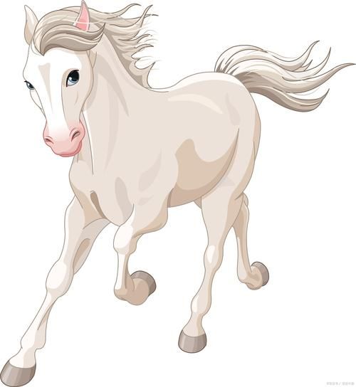 马歇尔属什么生肖属相（马歇尔属什么生肖属相？）