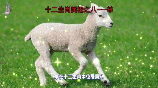 羊的生肖属相（属羊是哪些年份？）