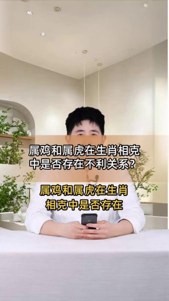 生肖鸡跟什么属相冲克