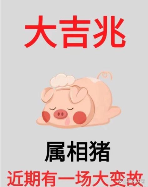 生肖猪不能配哪些属相（生肖猪不宜婚配属相有哪些）