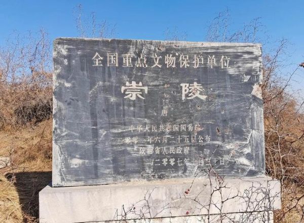 李适什么生肖属相（李适生肖是什么属马）