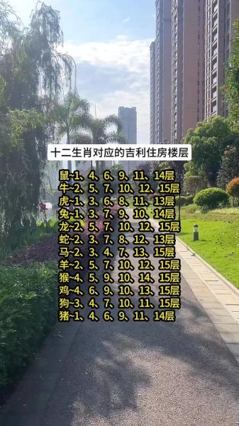 生肖属相配楼层（生肖楼层选择怎么选最好）