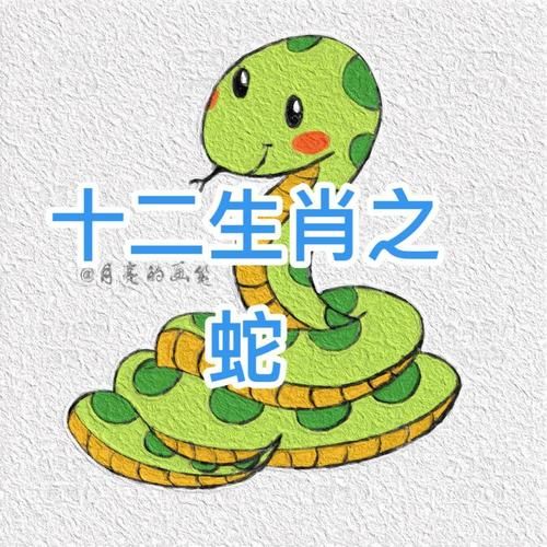 蛇属相合的属相有哪些生肖（蛇属相合的属相有哪些？💡）