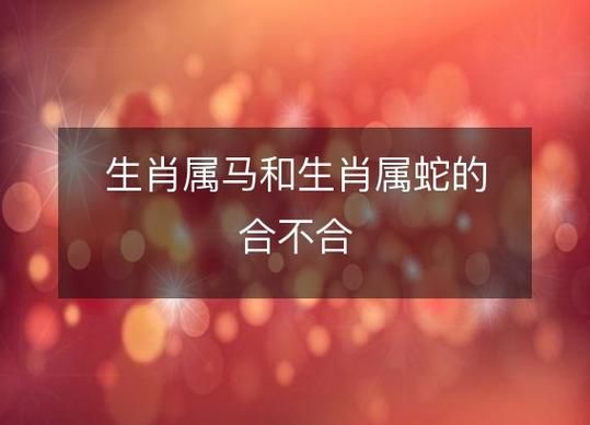 生肖蛇不合的属相（生肖蛇不合的属相是什么）