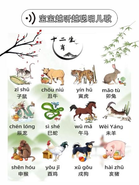 卯辰属相是什么生肖（卯辰属相是什么生肖？一文看懂卯兔与辰龙）