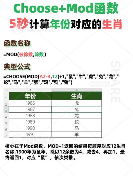 表格怎么算生肖属相（表格怎么算生肖属相公式教程）