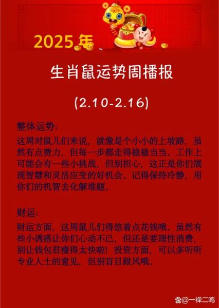 预测老鼠生肖属相(老鼠生肖2025年运势预测最准方法)