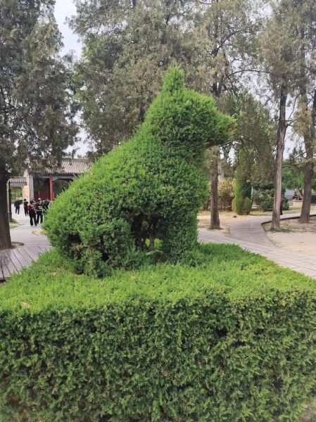 树枝代表什么生肖属相(树枝代表什么生肖属相最准确)