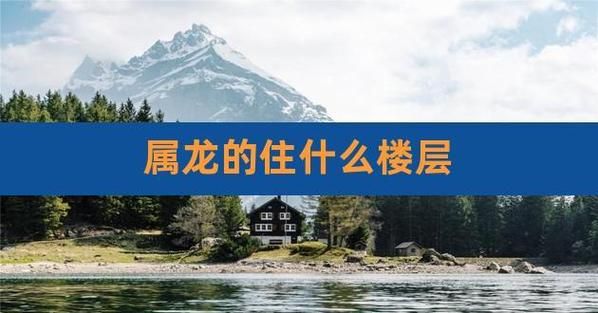 生肖属相龙与楼层（属龙的住几楼最旺？）