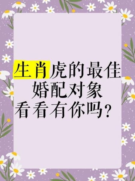 生肖虎的更佳配偶属相(生肖虎的最佳配偶属相揭晓)