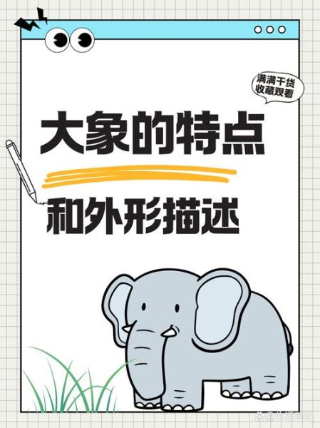 十二生肖属相大全大象（大象属什么生肖详解❓）