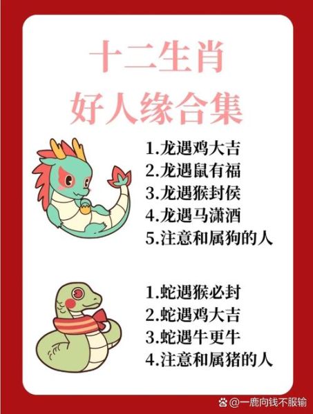 苏辛属什么生肖属相（苏辛属什么生肖属相大揭秘🐉）