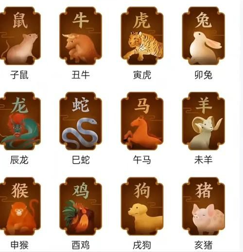 生肖属相特征是什么(生肖属相特征是什么新手指南)