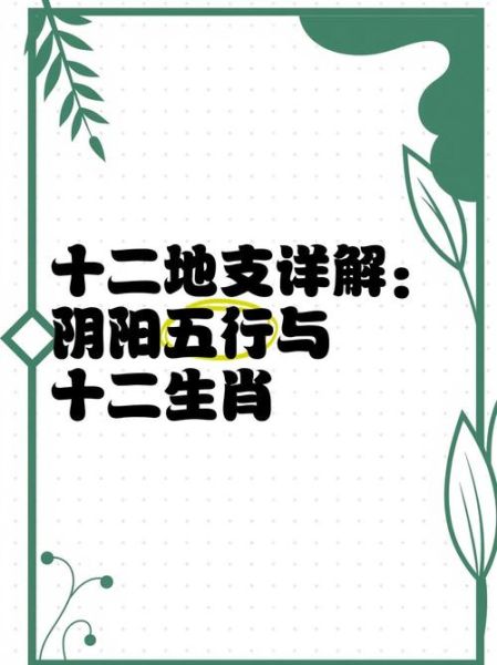 十二生肖的阴阳属相（十二生肖的阴阳属相怎么分？新手秒懂版）