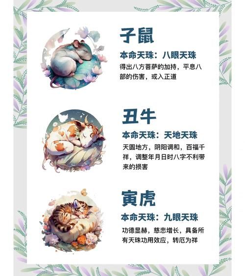 张珠属什么生肖属相（张珠是什么生肖？新手也能秒懂！）