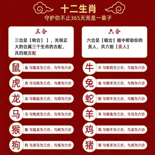 张珠属什么生肖属相（张珠是什么生肖？新手也能秒懂！）