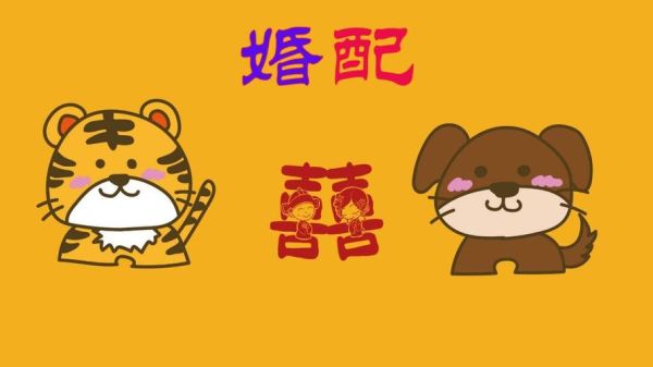 生肖狗和属相虎（生肖狗和属虎的合不合得来😊）