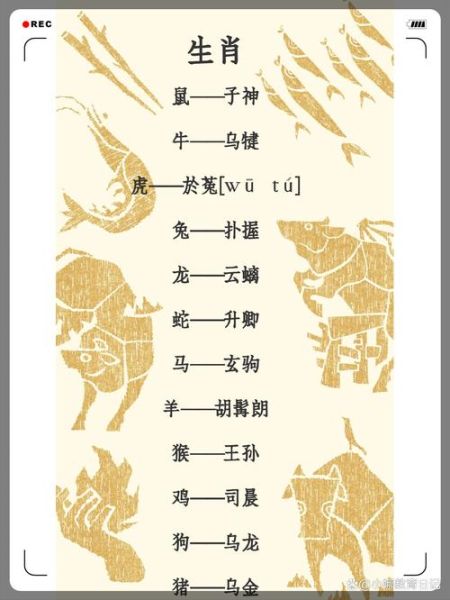 属相是什么生肖是什么（属相对应生肖是什么生肖最全解读）