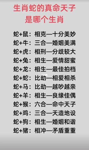 蛇的生肖配对最佳属相（蛇和什么属相最配婚）