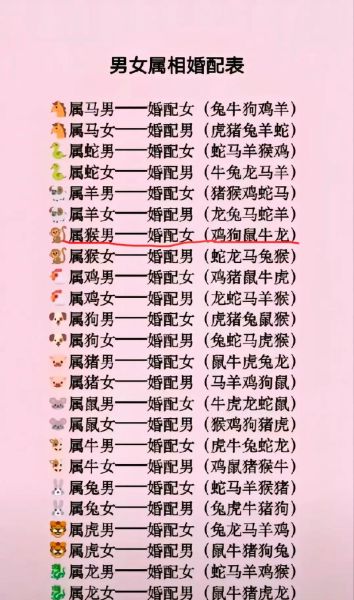 婚配生肖配对查询表属相（婚配生肖配对查询表属相怎么用？小白一文看懂）