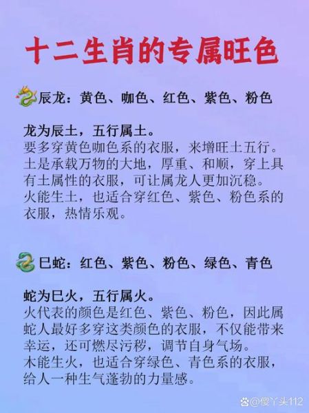 一号生肖属相（一号生肖属相到底是鼠吗？）