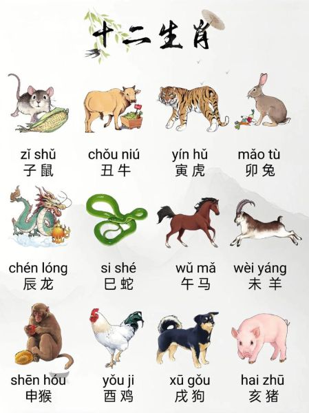 十二生肖的第一属相（十二生肖的第一属相是什么）