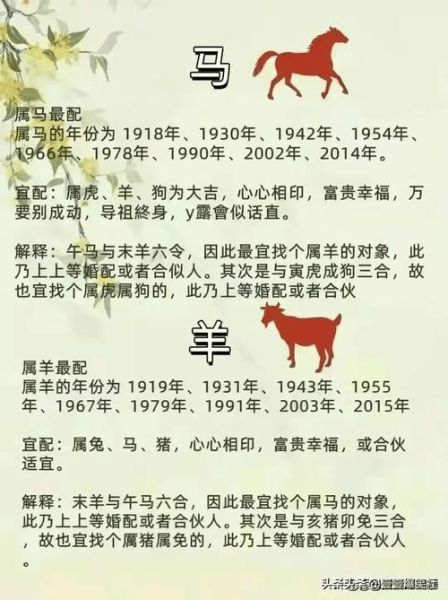 1952年的生肖属相（1952年属什么生肖？属相详解）