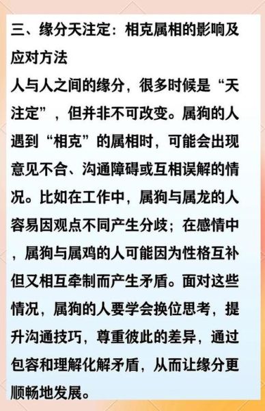 生肖狗相克属相（生肖狗和什么生肖相克？）