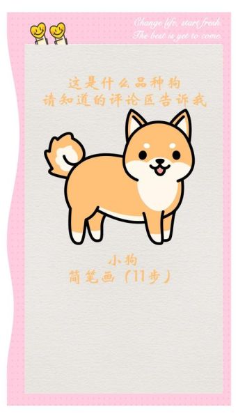 狗属相生肖简笔画（狗生肖简笔画教程）