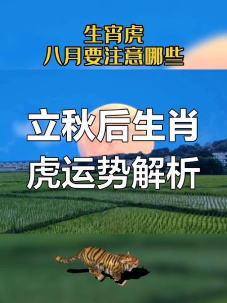 立秋相关属相是什么生肖（立秋属相生肖查询方法）