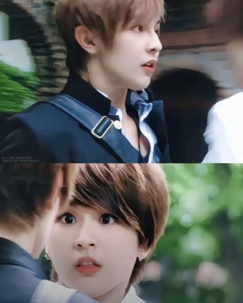 汪大东是什么生肖属相（汪大东生肖属相查询）