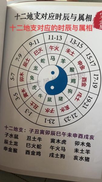生肖属相对应地支(生肖属相对照表与地支关系详解)