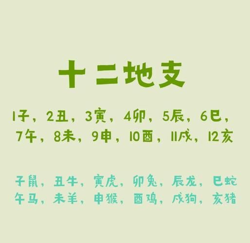 生肖属相对应地支(生肖属相对照表与地支关系详解)
