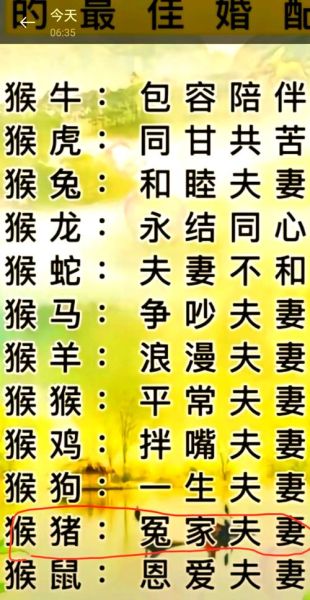 生肖猪最不配属相(生肖猪最不配属相是谁)