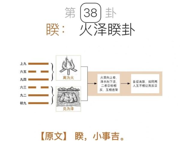 火泽卦象对应生肖属相（火泽睽卦对应什么生肖）