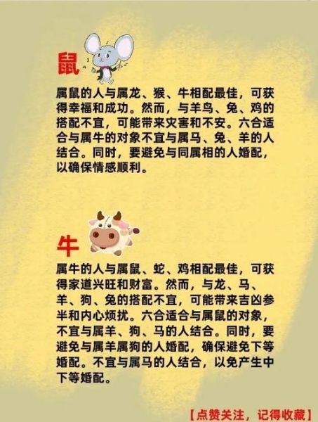 龙跟蛇生肖属相（龙蛇生肖合不合婚）