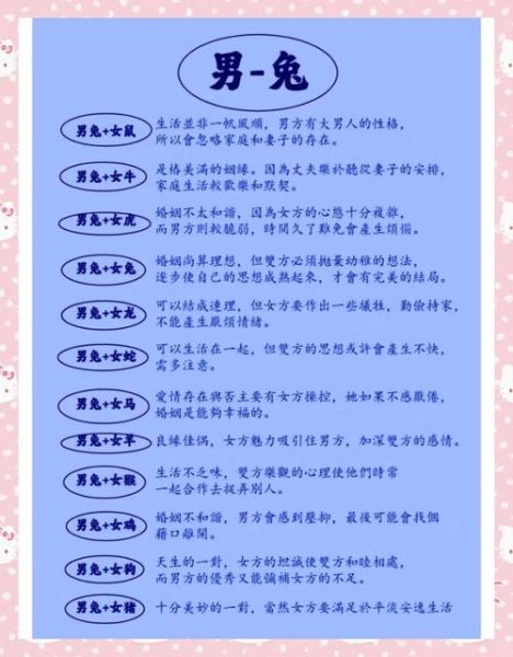 生肖兔什么属相好（生肖兔和什么属相最配？新人速看指南）