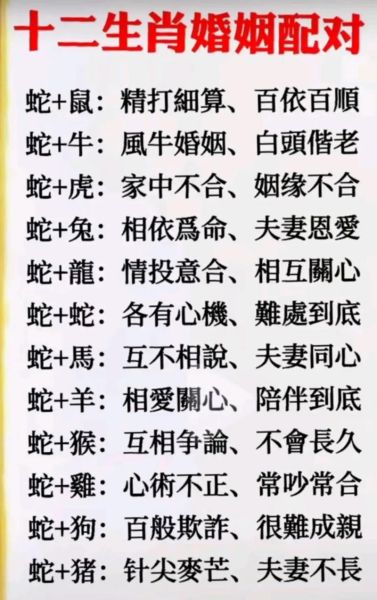 生肖马和哪些属相更配合（生肖马和什么属相最配婚姻）