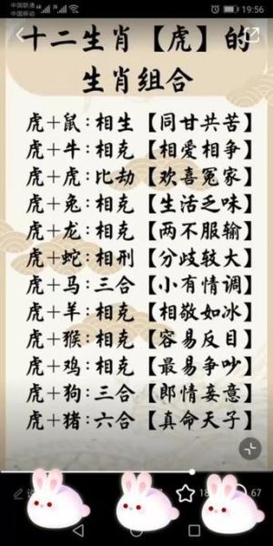 兄妹关系属相是什么生肖（兄妹关系属相是哪些生肖）