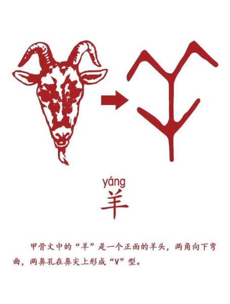 甲的属相是什么生肖