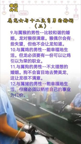 属龙女属相最配什么生肖(属龙女和哪个属相最配)