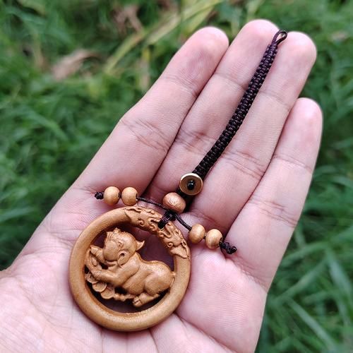 什么生肖买什么属相（属猪的人买什么属相挂件最好）